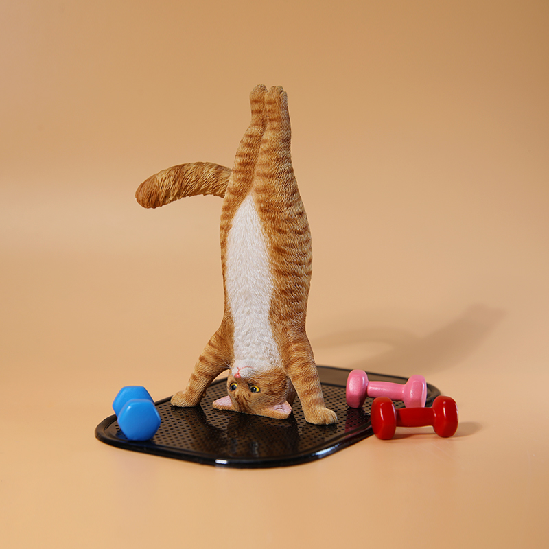 1/6 Scale Mini Simulated Fitne - огляд і ціна Yoga Fitness First