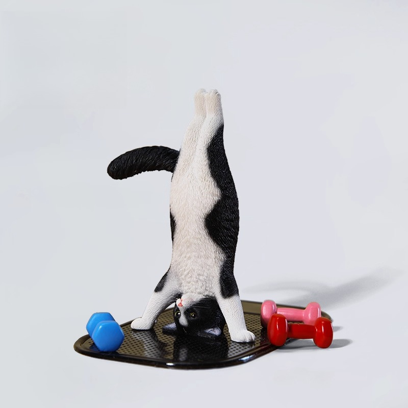 1/6 Scale Mini Simulated Fitne - огляд і ціна Yoga Fitness First